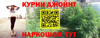 гидра Ставрополь